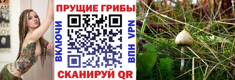 Псилоцибиновые грибы Psilocybine cubensis  KRAKEN ONION  Партизанск 